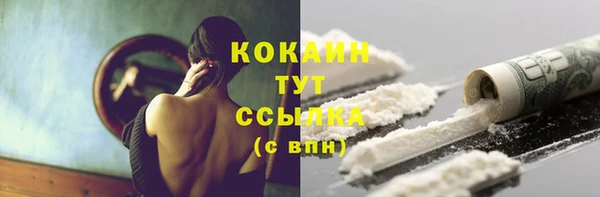 mdpv Протвино