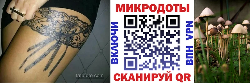 Галлюциногенные грибы MAGIC MUSHROOMS  Анадырь 